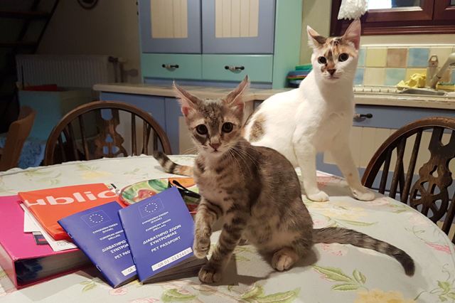 Bella & Hypnos - July 2019